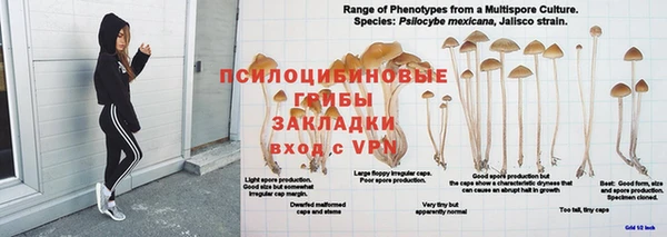 прущие крисы Алексин