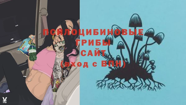 амф Алзамай