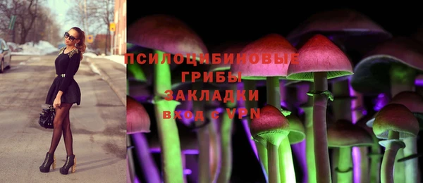прущие крисы Алексин
