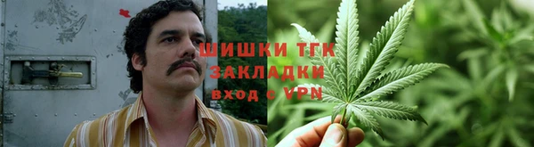 тгк Алексеевка