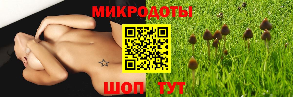 Клинцы  Галлюциногенные грибы мицелий  Вход с VPN 